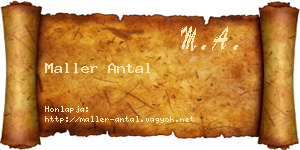 Maller Antal névjegykártya