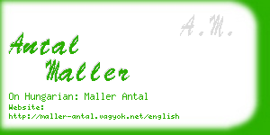 antal maller business card